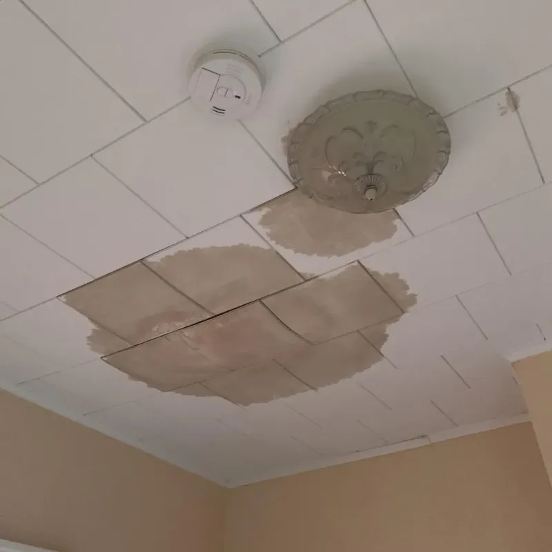 Ceiling Water Damage Repair in Goodman, MS