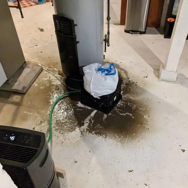 Sewage Backup Cleanup Service in Goodman, MS